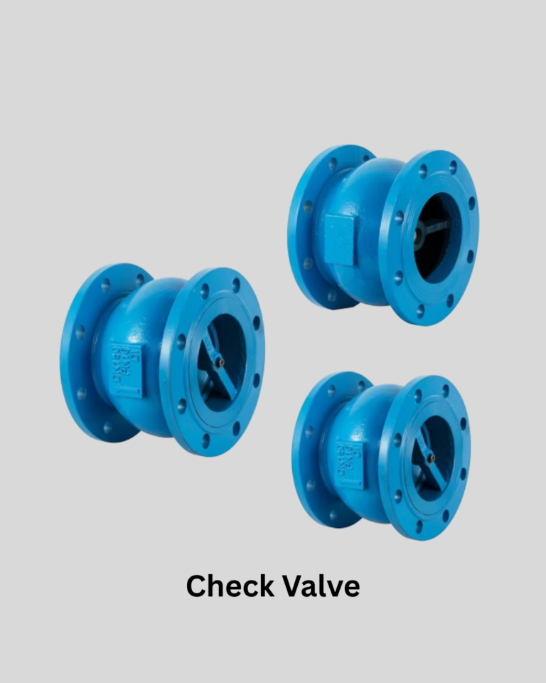 Check Valve