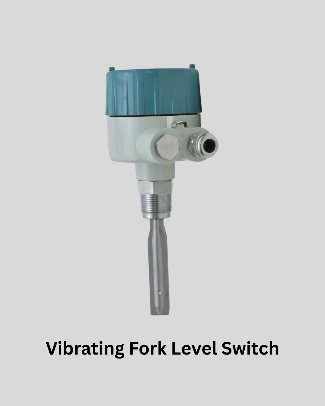 Vibrating Fork Level Switch​