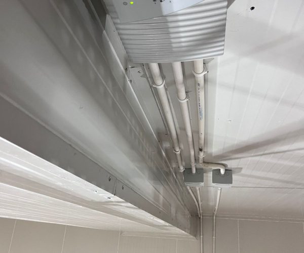 WhatsApp Image 2026-02-05 at 12.11.15 (2)