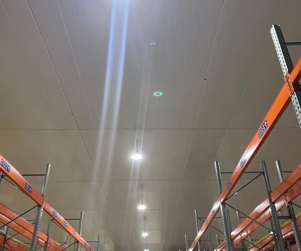 WhatsApp Image 2026-02-05 at 12.11.15